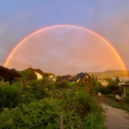 Regenbogen